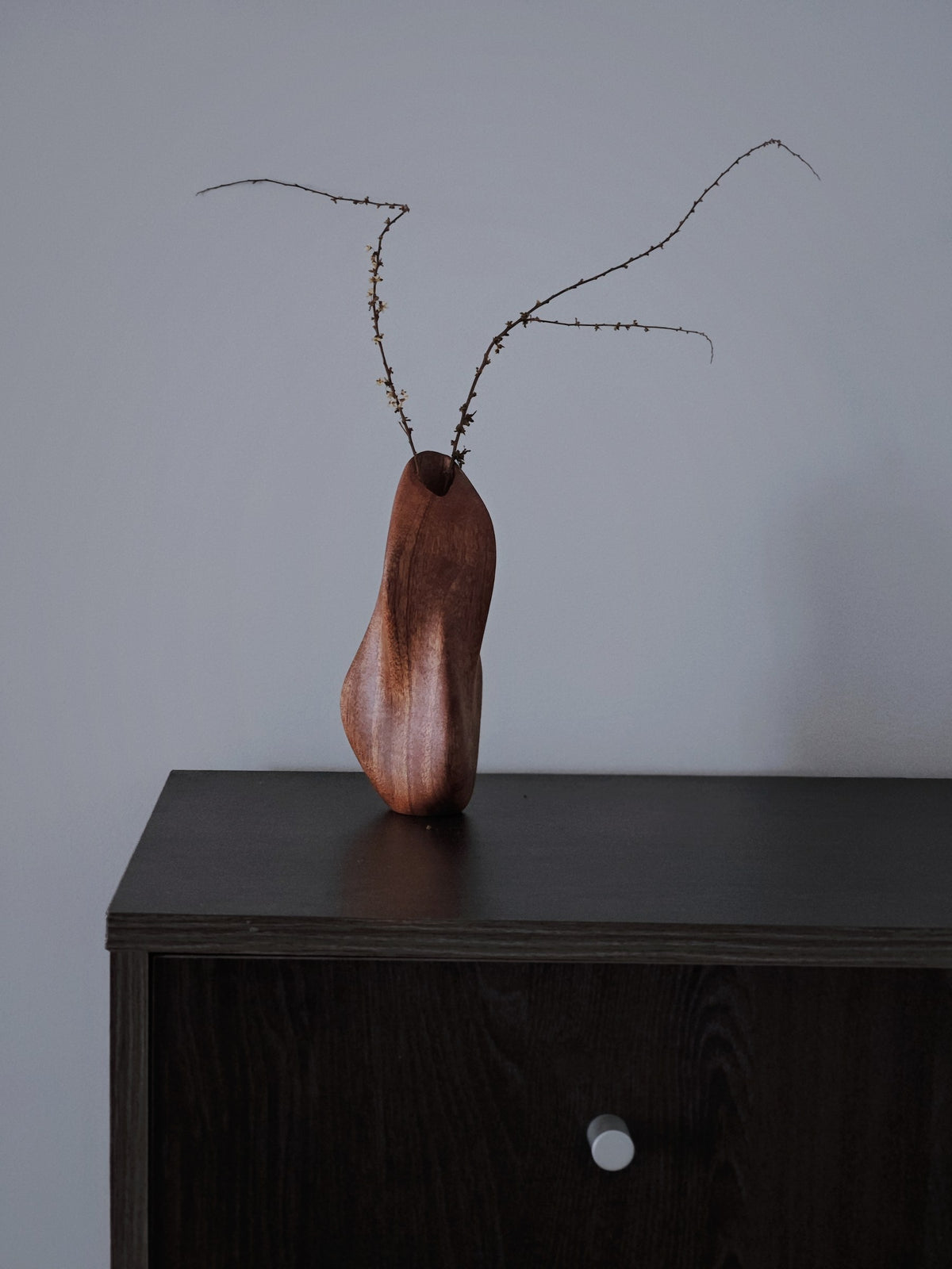 Wood Bud Vase & Diffuser